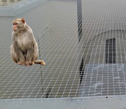 Balcony Safety Nets